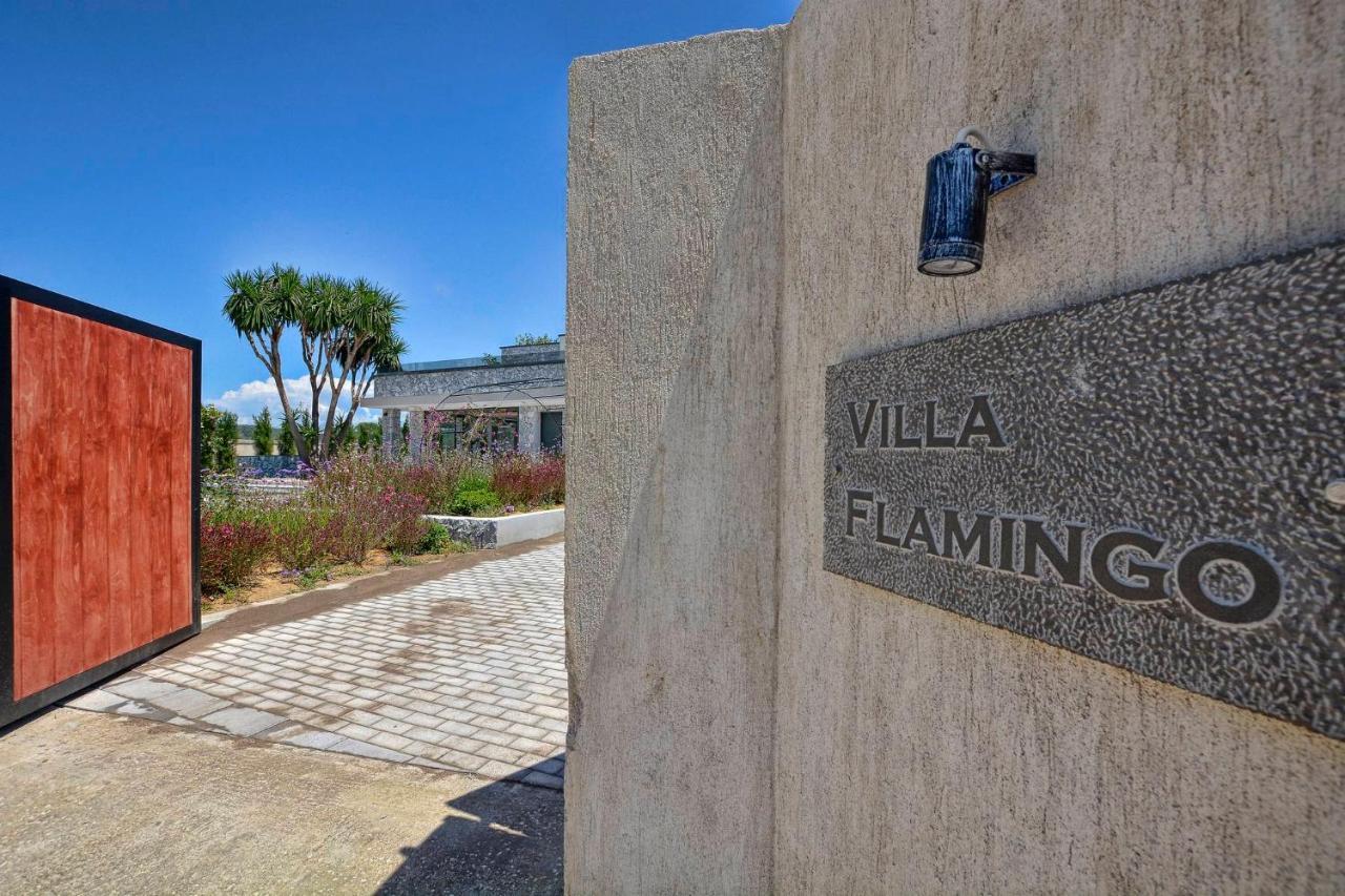 Villa Flamingo - 4 Bedrooms - Private Pool - Next To Renowned Issos Beach & Lake Korission Línia Extérieur photo